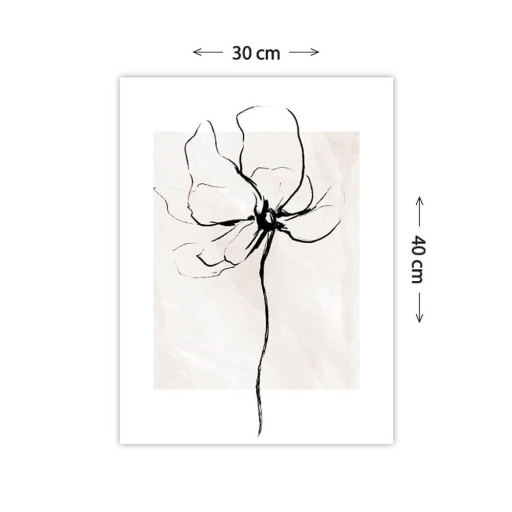 Zestaw_3_palaktow_noweczsne_rosliny_line_art_2.jpg