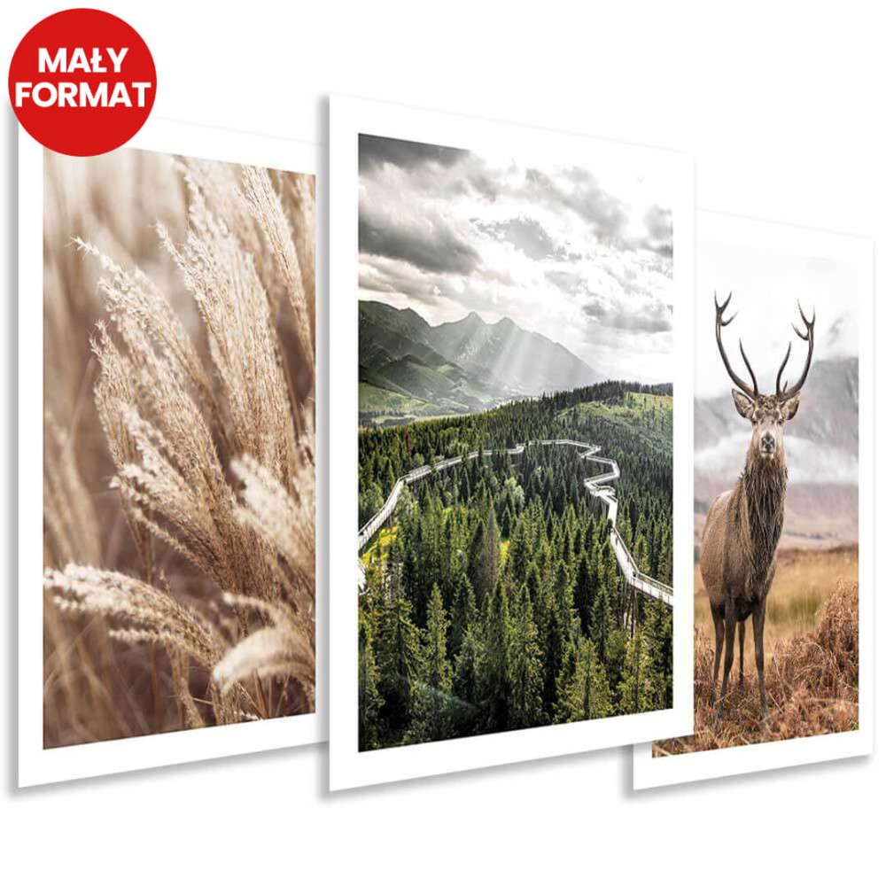 Zestaw_3_palaktow_podroznicze_zdjecia_jelen_las_plakaty_zwierzeta_1.jpg