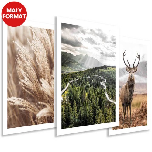 Plakaty - Podróżnicze zdjęcia travel las jeleń 3 szt (bez obramowania) - 30x40 cm