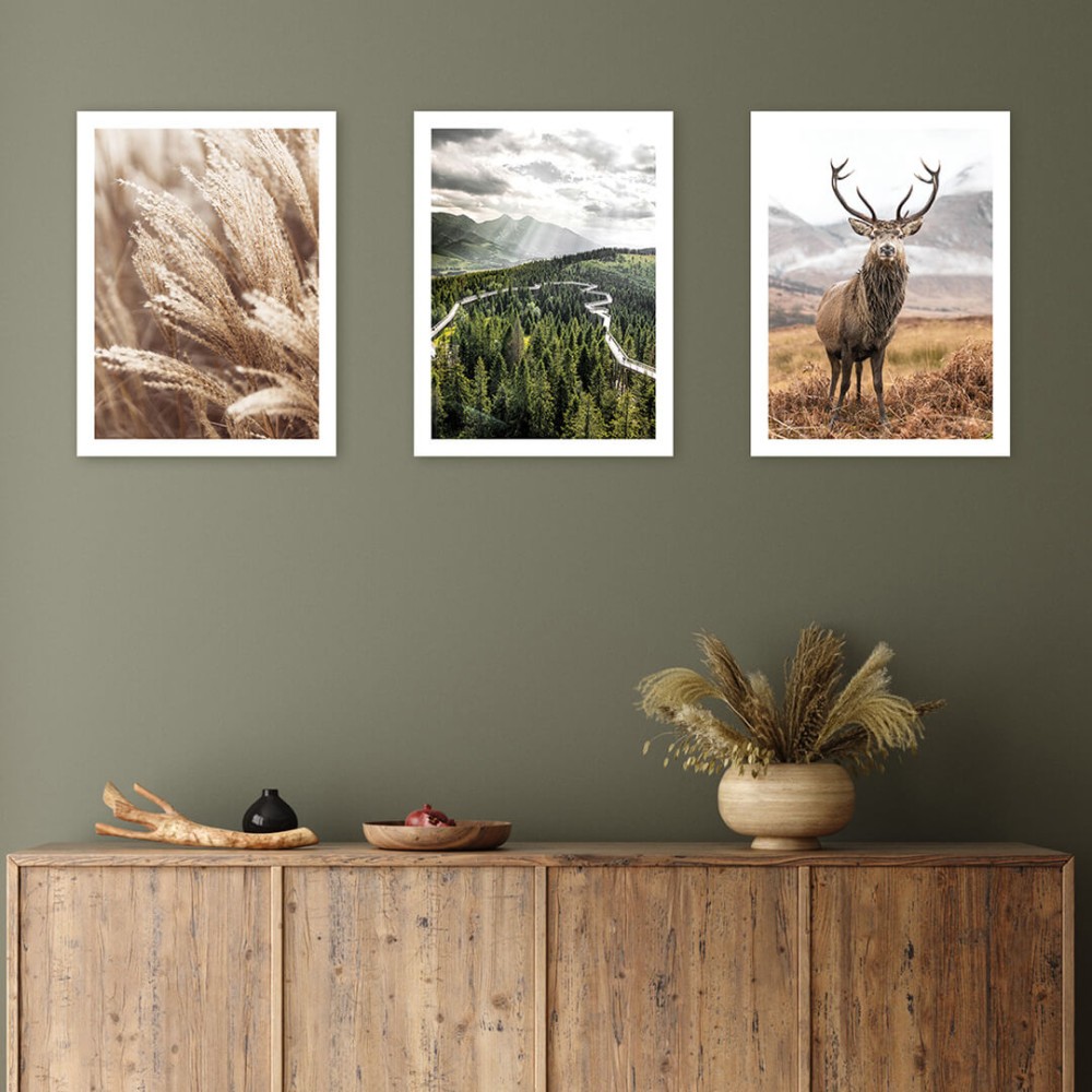 Zestaw_3_palaktow_podroznicze_zdjecia_jelen_las_plakaty_zwierzeta_2.jpg