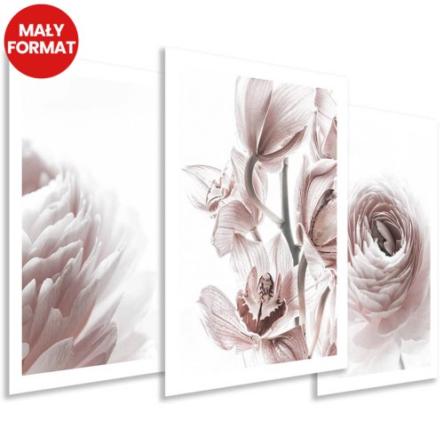 Plakaty - Pudrowe różowe kwiaty 3 szt (bez obramowania) - 30x40 cm